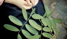 光阴的故事经典台词