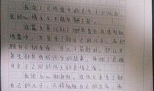 地震中的撑起读后感