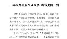 春节见闻作文350字