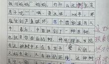 初中生日记400字