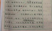 珍惜时光的作文