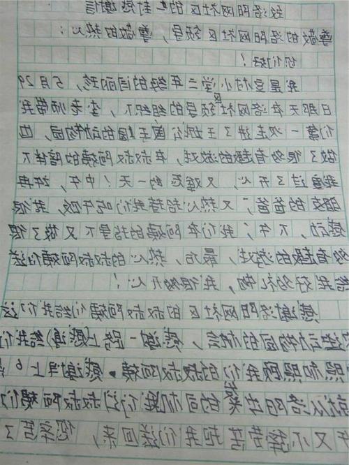 小学日记400字