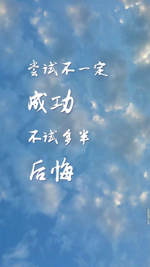 成功尝试400字