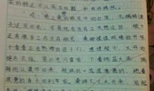 小学生日记大全200字