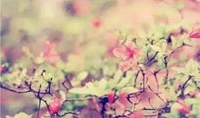 人生如下棋读后感