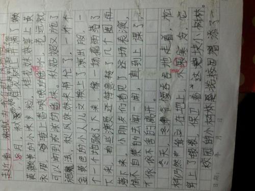 秋天来了150个单词