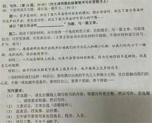 那不同的美丽作文600字