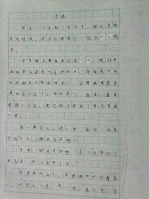 农历新年笔记组成800字