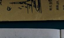 老人与海鸥读后感200字