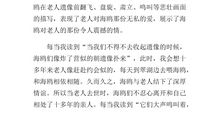 老人与海鸥读后感