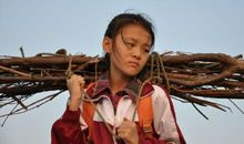 孝女彩金读后感