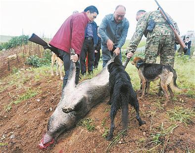 猎人和猎犬