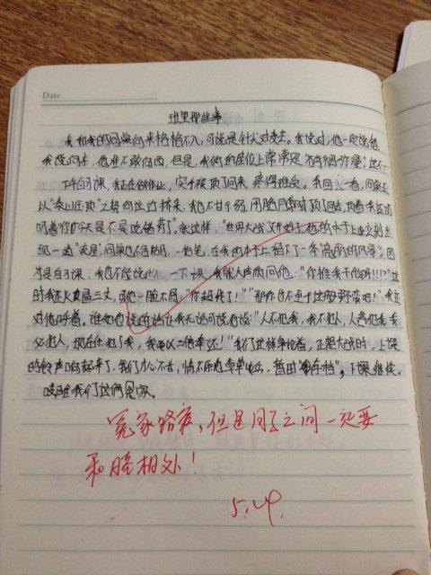 我眼中的母亲组成