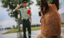 伟大的悲剧读后感50字