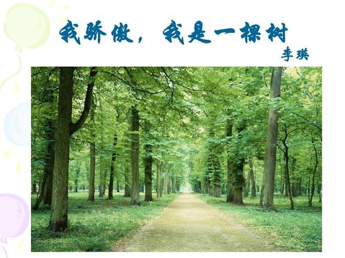 不会骄傲的树