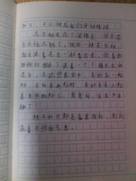 作文秋天