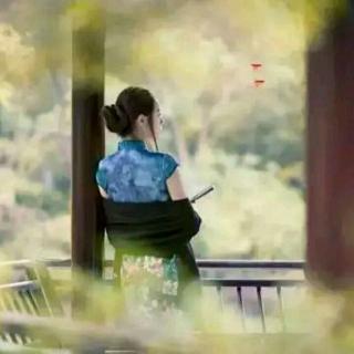 秋小姐组成