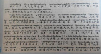 秋景构图200字