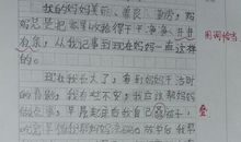 我的奶奶小学作文