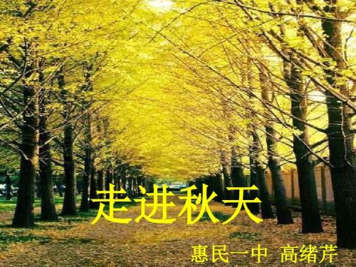 走进秋天