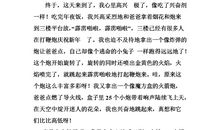 春节记事作文400字