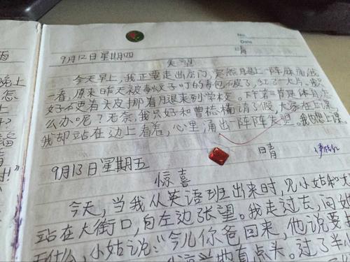 中学生日记200字