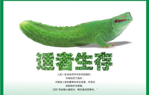 优胜劣汰