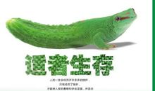 适者生存读后感