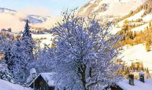 描写冬天的作文