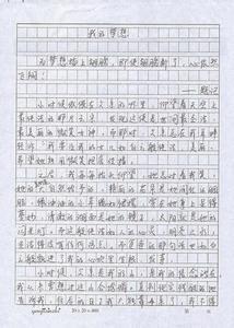 我的梦作文300字