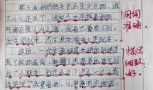 以温暖为话题的作文500字