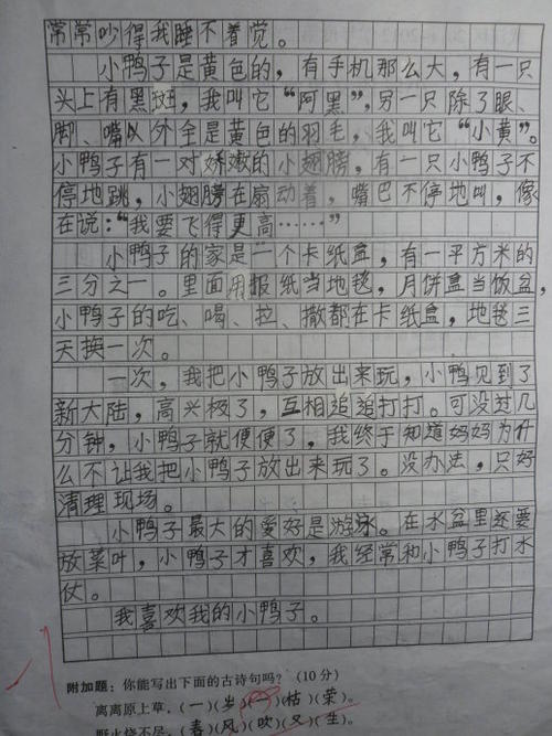 我最喜欢的动物组成