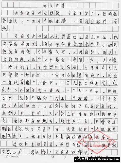 三年级作文我的兄弟