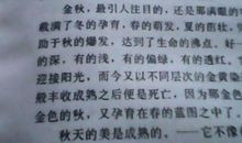 小学三年级作文秋天