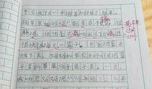 小学生课余生活作文
