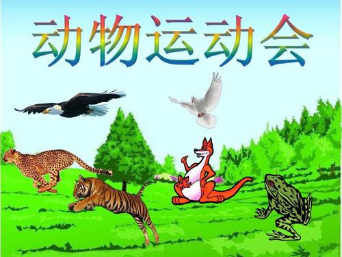 动物游戏组成