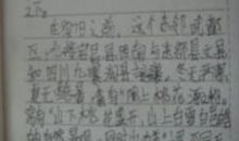 一次有趣的尝试作文