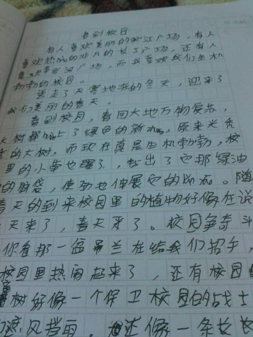 春天的组成