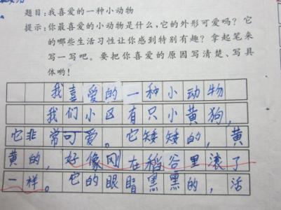 动物组成