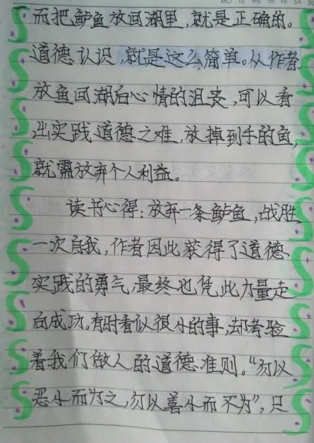 700字的钓鱼作文