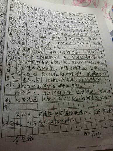 最美丽的人组成
