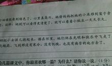 一颗小豌豆读后感