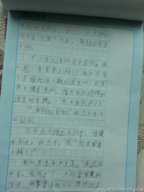 100字钓鱼论文