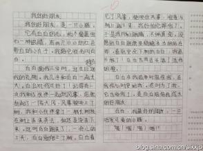 我的好朋友二年级作文
