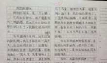 我的好朋友二年级作文