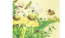 让太阳长上翅膀读后感