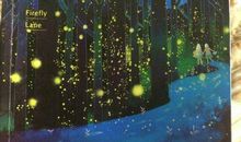 闪亮的萤火虫读后感