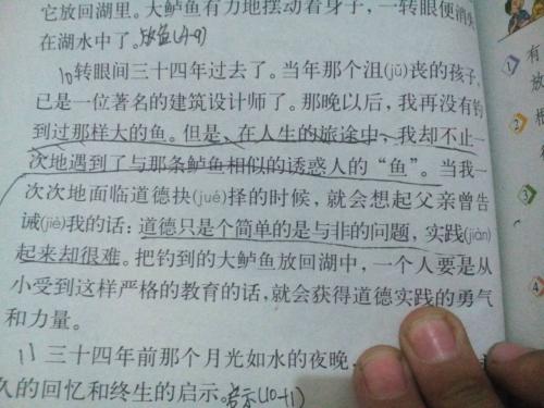 钓鱼作文250字