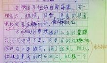 动物作文600字
