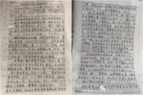 青春与梦想组成